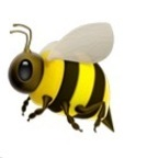 Profile picture of donnabee