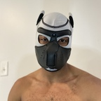 k9kruzeratl avatar