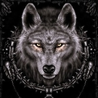 wolfie avatar